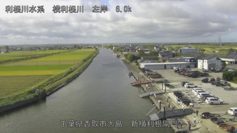 yoko2025101909_image