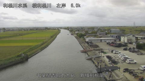 yoko2025101911_image