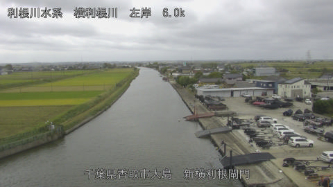 yoko2025101912_image