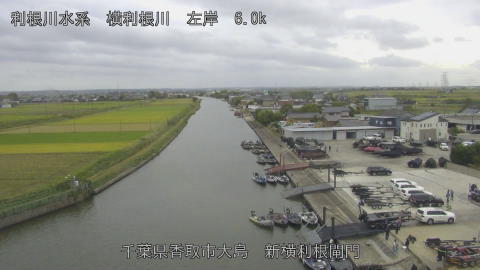 yoko2025101914_image