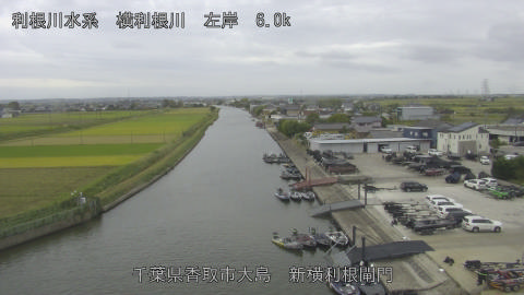yoko2025101915_image