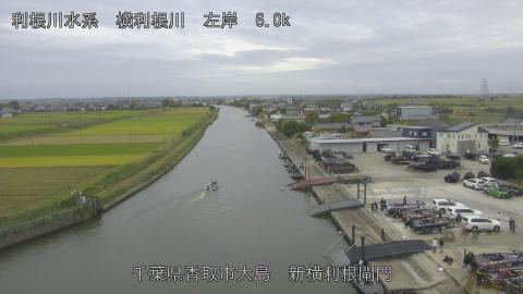 yoko2025101916_image
