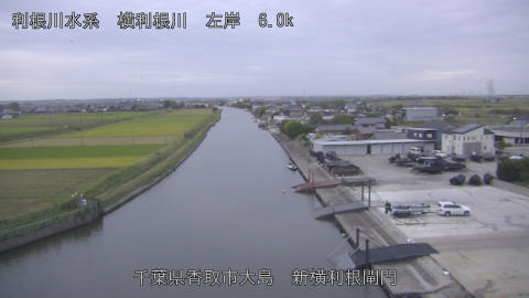yoko2025101917_image
