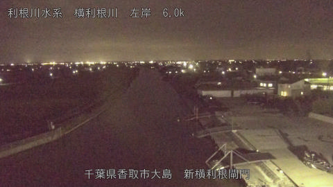 yoko2025101918_image