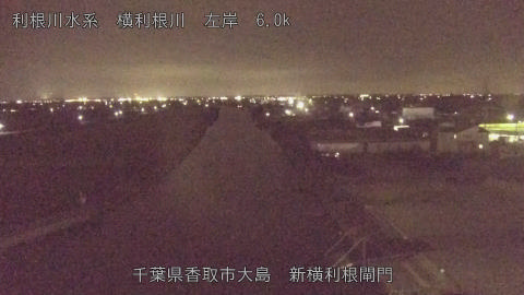 yoko2025101919_image
