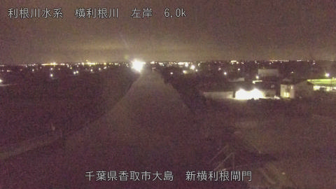 yoko2025101921_image