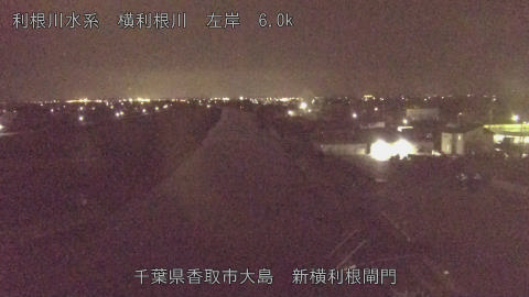 yoko2025101923_image