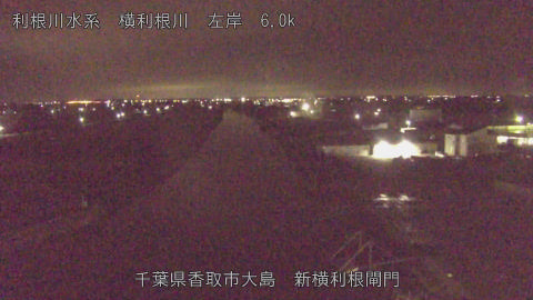 yoko2025102001_image