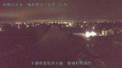 yoko2025102005_image