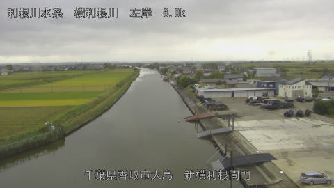 yoko2025102012_image