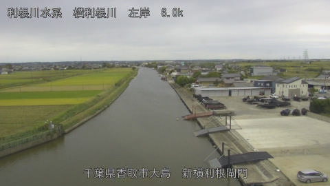 yoko2025102112_image