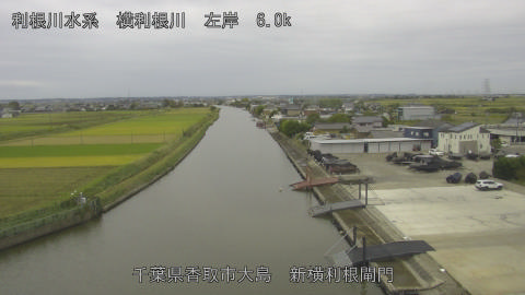 yoko2025102212_image