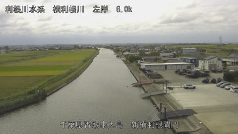 yoko2025102312_image