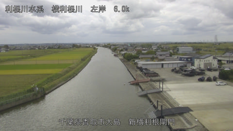 yoko2025102412_image