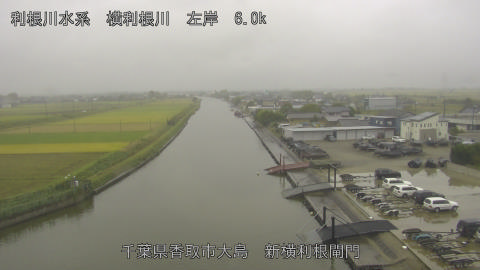 yoko2025102512_image