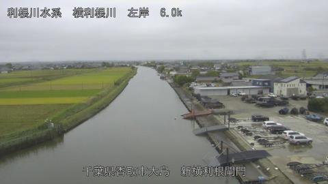 yoko2025102612_image