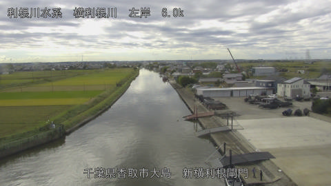 yoko2025102712_image