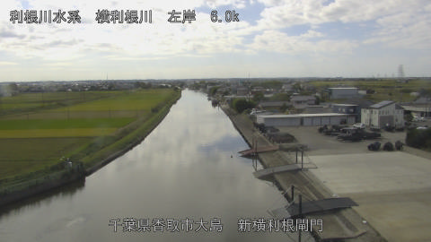 yoko2025102812_image