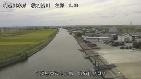 yoko2025102912_image