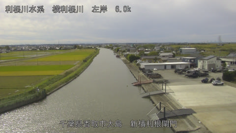 yoko2025110112_image