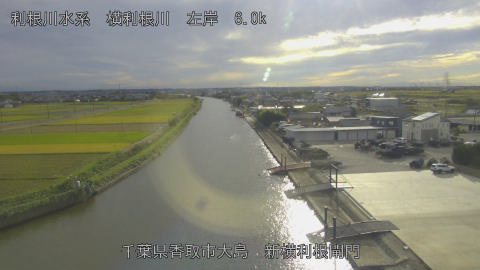 yoko2025110115_image