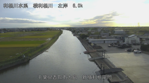 yoko2025110116_image