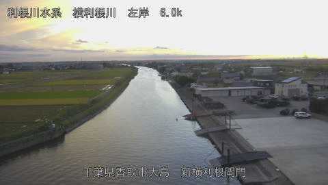 yoko2025110117_image