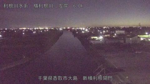 yoko2025110118_image