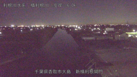 yoko2025110119_image