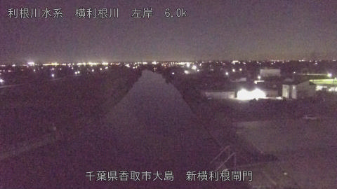 yoko2025110120_image