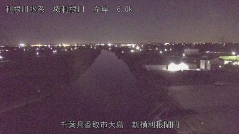 yoko2025110121_image