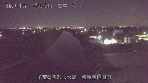 yoko2025110122_image