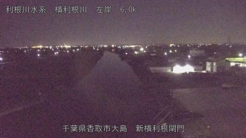 yoko2025110123_image