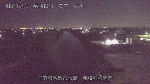 yoko2025110200_image