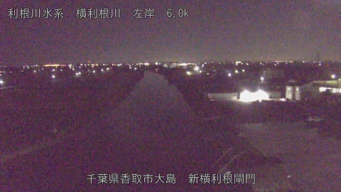 yoko2025110201_image