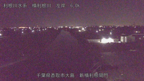 yoko2025110202_image