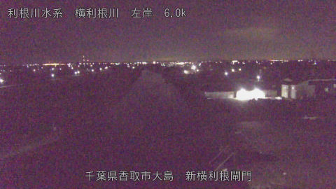 yoko2025110203_image