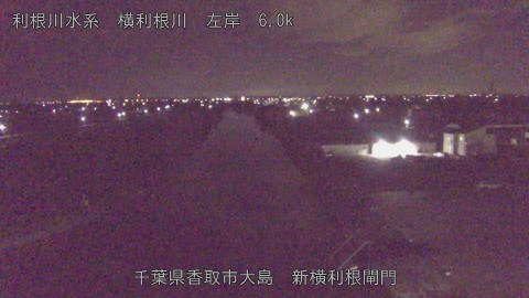 yoko2025110204_image