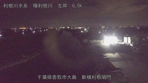 yoko2025110205_image