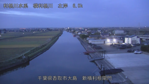 yoko2025110206_image