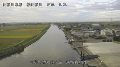 yoko2025110207_image