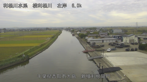 yoko2025110208_image