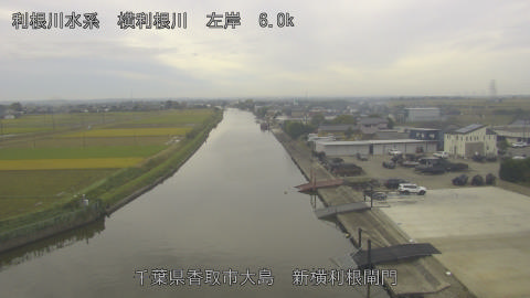 yoko2025110209_image