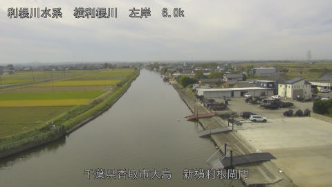 yoko2025110210_image