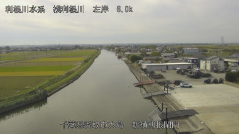 yoko2025110211_image