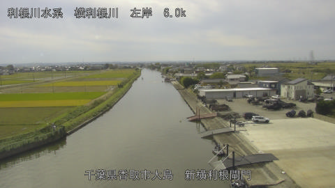 yoko2025110212_image