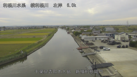 yoko2025110213_image