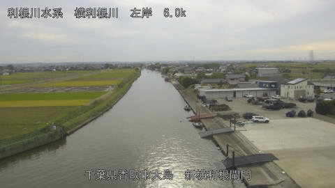 yoko2025110214_image