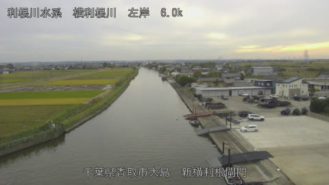 yoko2025110215_image