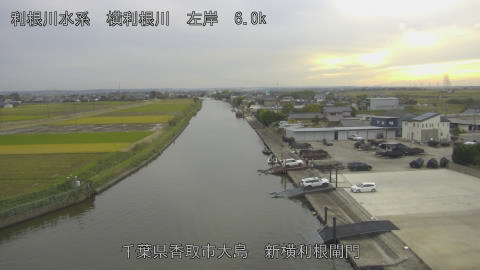 yoko2025110216_image